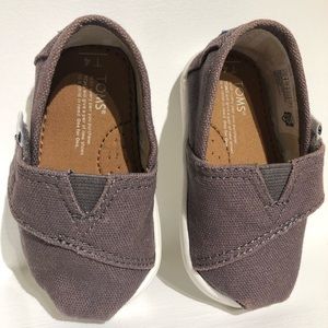 Baby Toms Classic Slip on shoes in Ash, Size 4